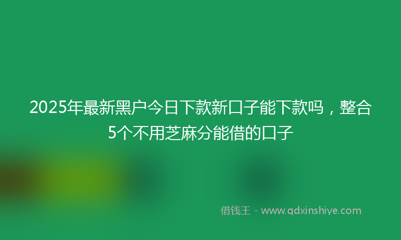 2025年最新黑户今日下款新口子能下款吗，整合5个不用芝麻分能借的口子