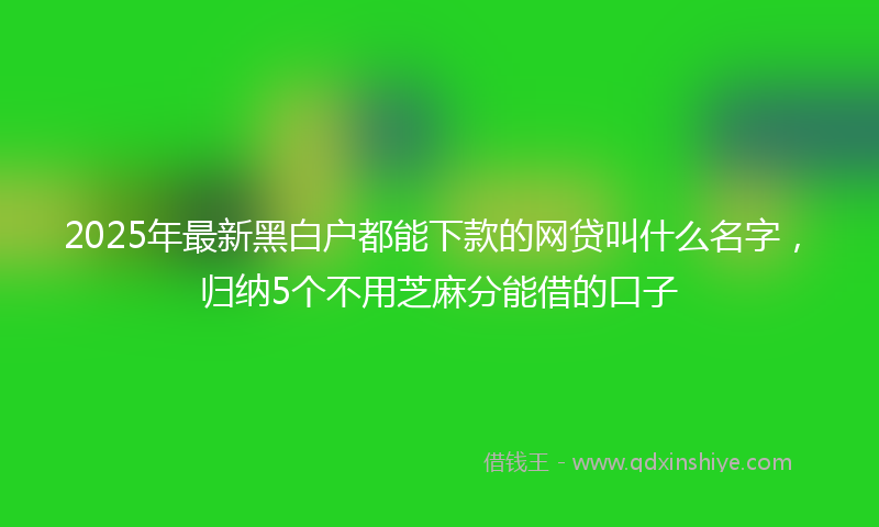 2025年最新黑白户都能下款的网贷叫什么名字，归纳5个不用芝麻分能借的口子