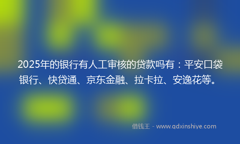 2025年的银行有人工审核的贷款吗有：平安口袋银行、快贷通、京东金融、拉卡拉、安逸花等。