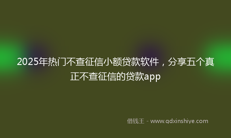 2025年热门不查征信小额贷款软件，分享五个真正不查征信的贷款app