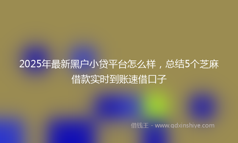 2025年最新黑户小贷平台怎么样，总结5个芝麻借款实时到账速借口子