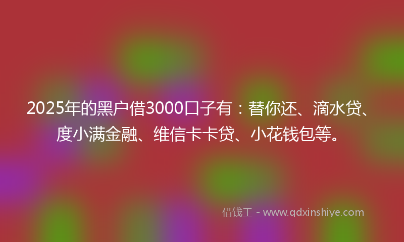 2025年的黑户借3000口子有：替你还、滴水贷、度小满金融、维信卡卡贷、小花钱包等。