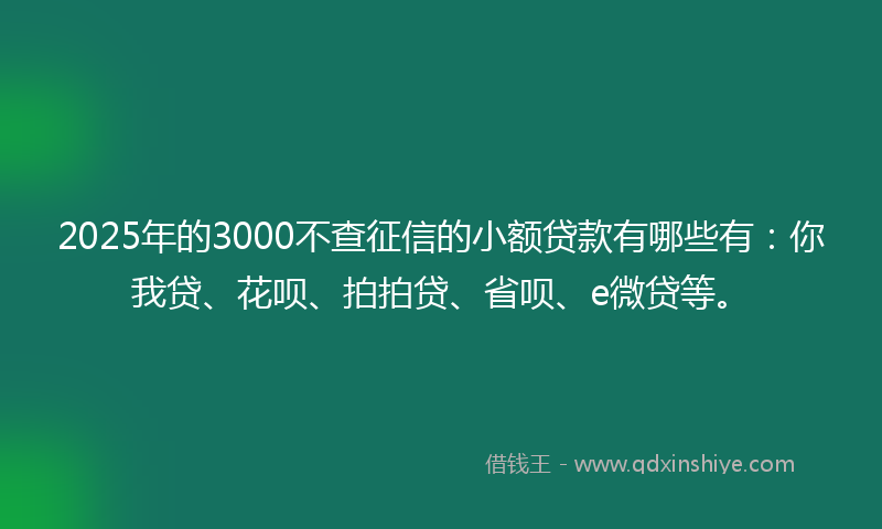 2025年的3000不查征信的小额贷款有哪些有：你我贷、花呗、拍拍贷、省呗、e微贷等。