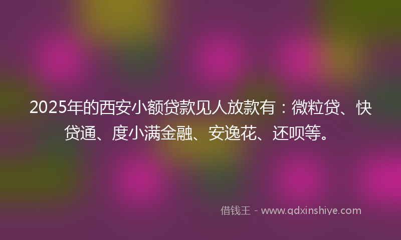 2025年的西安小额贷款见人放款有：微粒贷、快贷通、度小满金融、安逸花、还呗等。