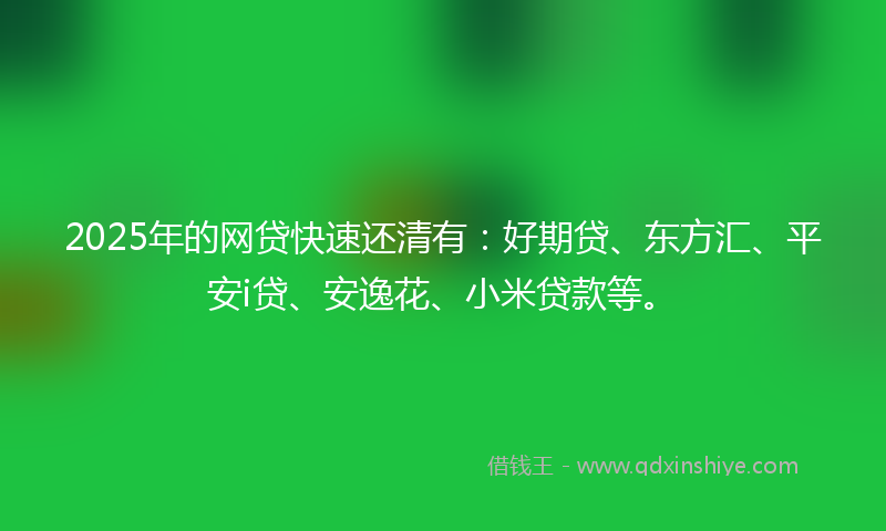 2025年的网贷快速还清有：好期贷、东方汇、平安i贷、安逸花、小米贷款等。