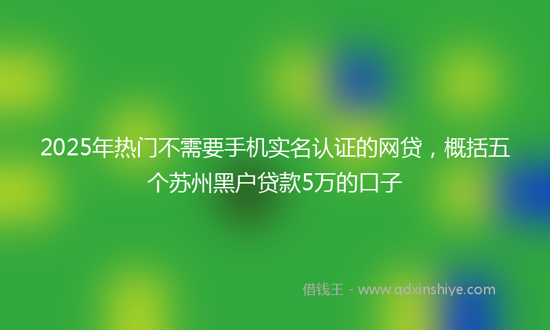 2025年热门不需要手机实名认证的网贷，概括五个苏州黑户贷款5万的口子