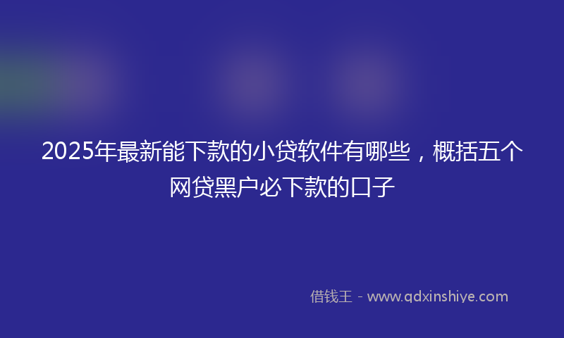 2025年最新能下款的小贷软件有哪些，概括五个网贷黑户必下款的口子