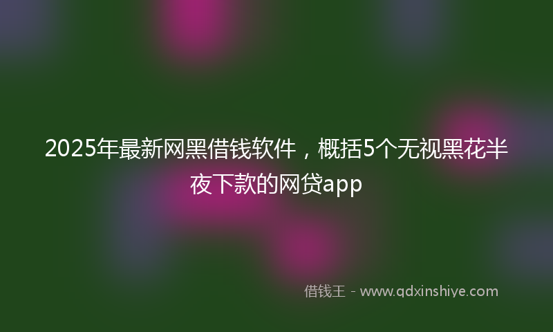 2025年最新网黑借钱软件，概括5个无视黑花半夜下款的网贷app