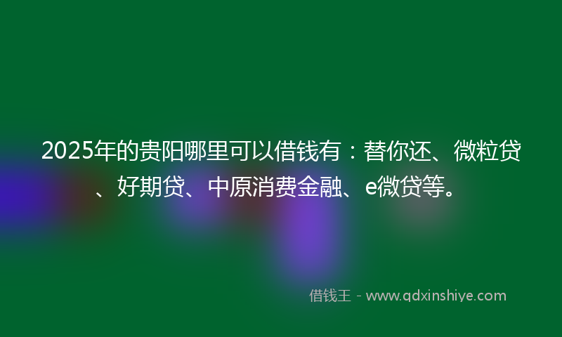 2025年的贵阳哪里可以借钱有：替你还、微粒贷、好期贷、中原消费金融、e微贷等。