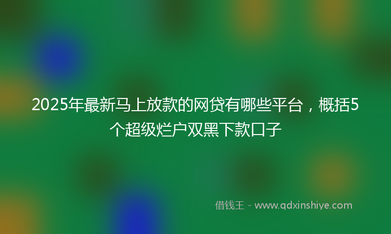 2025年最新马上放款的网贷有哪些平台，概括5个超级烂户双黑下款口子