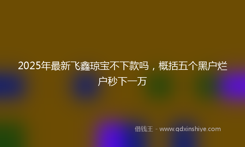 2025年最新飞鑫琼宝不下款吗，概括五个黑户烂户秒下一万