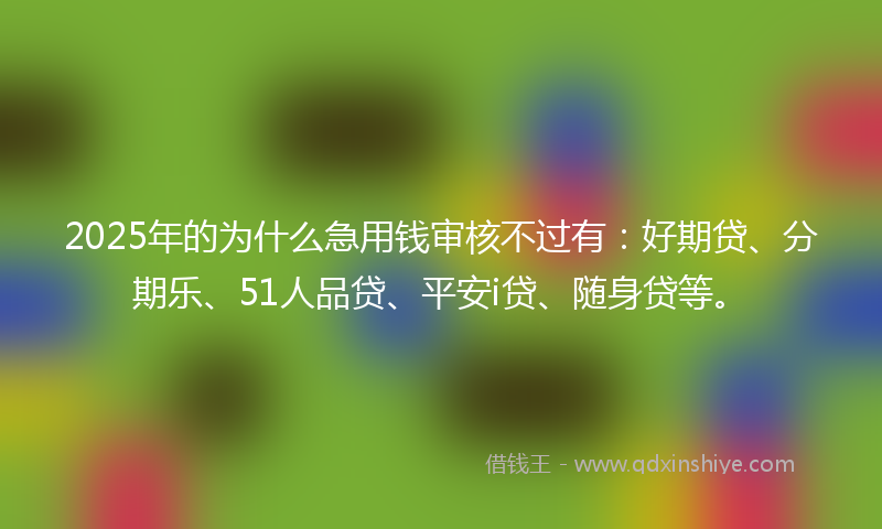 2025年的为什么急用钱审核不过有：好期贷、分期乐、51人品贷、平安i贷、随身贷等。
