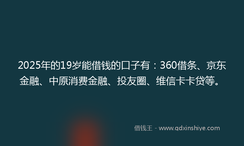 2025年的19岁能借钱的口子有：360借条、京东金融、中原消费金融、投友圈、维信卡卡贷等。