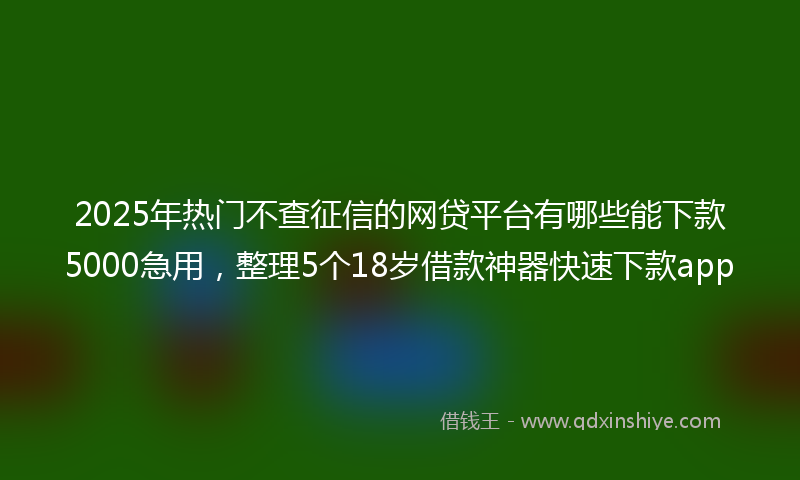 2025年热门不查征信的网贷平台有哪些能下款5000急用，整理5个18岁借款神器快速下款app