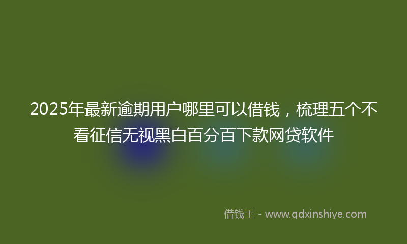 2025年最新逾期用户哪里可以借钱，梳理五个不看征信无视黑白百分百下款网贷软件