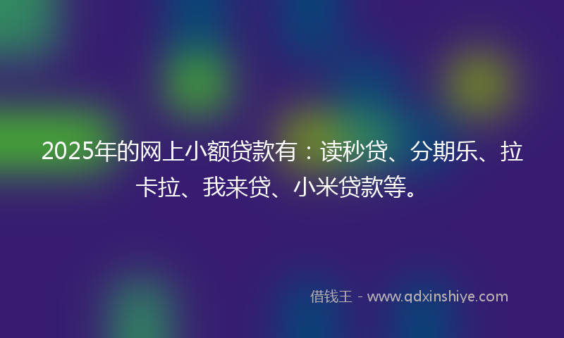 2025年的网上小额贷款有：读秒贷、分期乐、拉卡拉、我来贷、小米贷款等。
