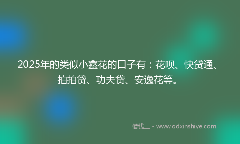 2025年的类似小鑫花的口子有：花呗、快贷通、拍拍贷、功夫贷、安逸花等。