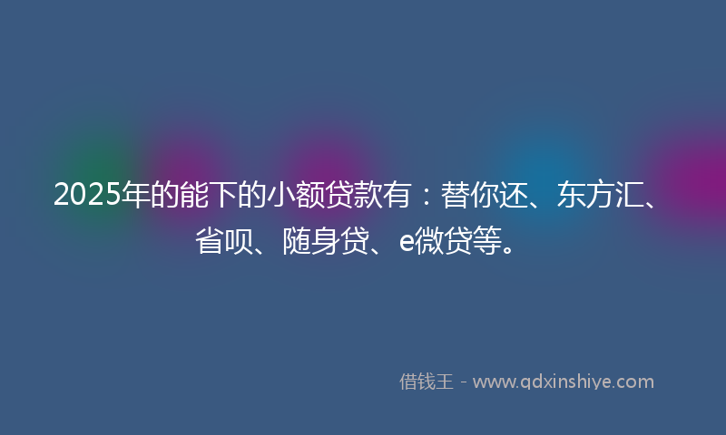 2025年的能下的小额贷款有：替你还、东方汇、省呗、随身贷、e微贷等。