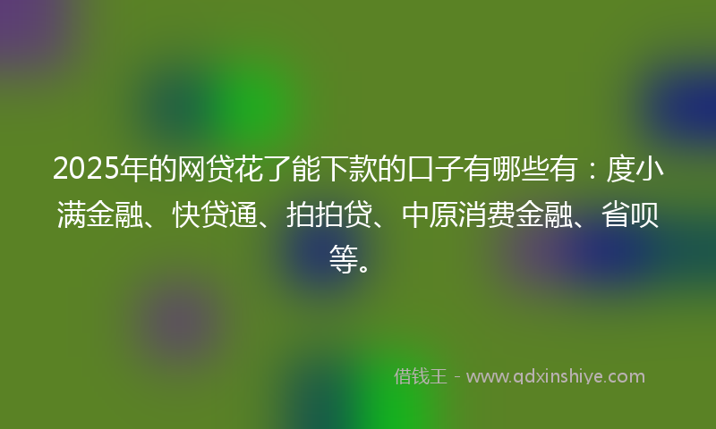 2025年的网贷花了能下款的口子有哪些有：度小满金融、快贷通、拍拍贷、中原消费金融、省呗等。