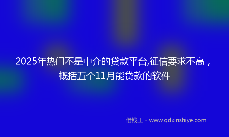 2025年热门不是中介的贷款平台,征信要求不高，概括五个11月能贷款的软件