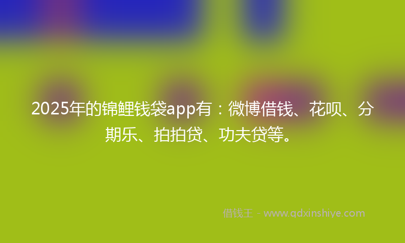 2025年的锦鲤钱袋app有：微博借钱、花呗、分期乐、拍拍贷、功夫贷等。
