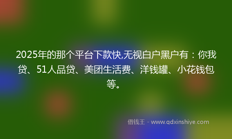 2025年的那个平台下款快,无视白户黑户有：你我贷、51人品贷、美团生活费、洋钱罐、小花钱包等。