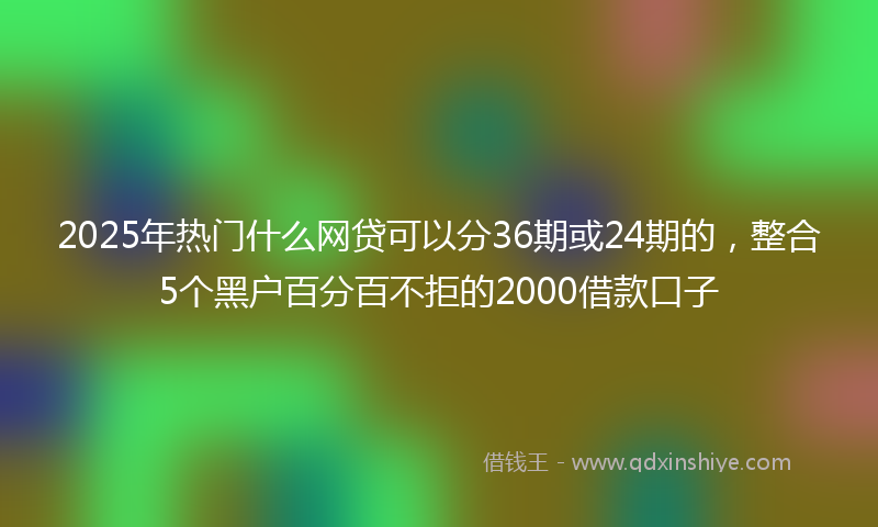 2025年热门什么网贷可以分36期或24期的，整合5个黑户百分百不拒的2000借款口子