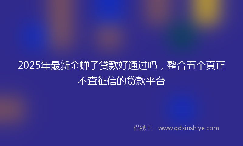 2025年最新金蝉子贷款好通过吗，整合五个真正不查征信的贷款平台
