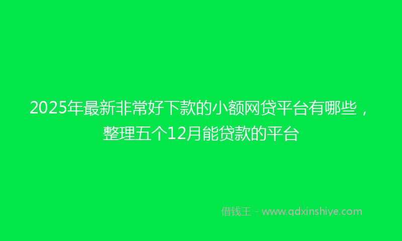 2025年最新非常好下款的小额网贷平台有哪些，整理五个12月能贷款的平台