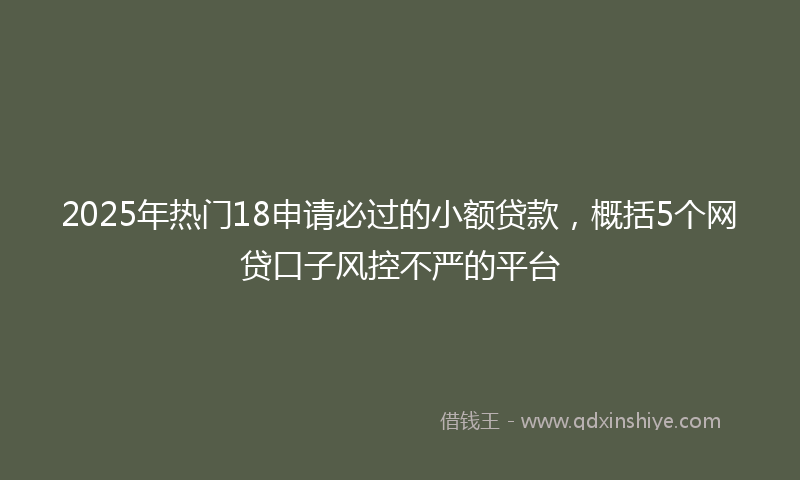 2025年热门18申请必过的小额贷款，概括5个网贷口子风控不严的平台