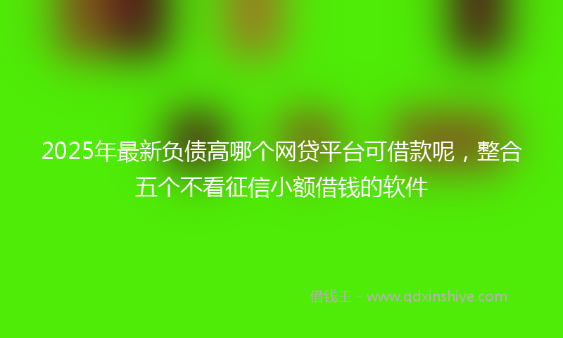 2025年最新负债高哪个网贷平台可借款呢，整合五个不看征信小额借钱的软件
