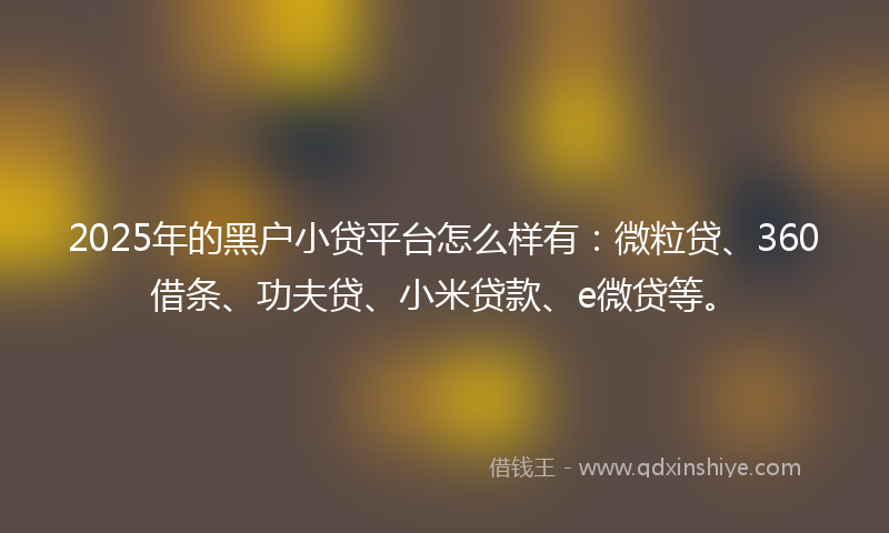 2025年的黑户小贷平台怎么样有：微粒贷、360借条、功夫贷、小米贷款、e微贷等。