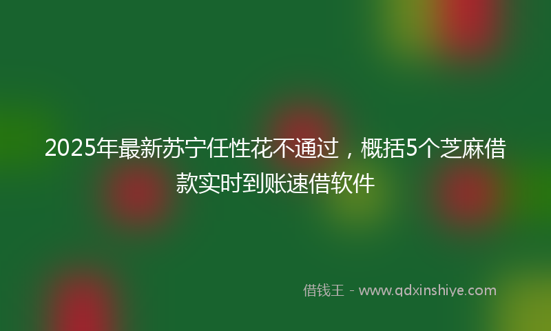2025年最新苏宁任性花不通过，概括5个芝麻借款实时到账速借软件