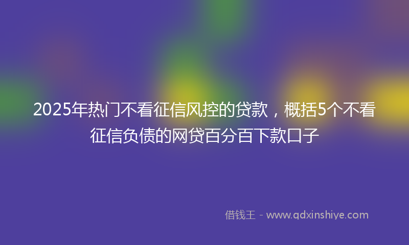 2025年热门不看征信风控的贷款，概括5个不看征信负债的网贷百分百下款口子