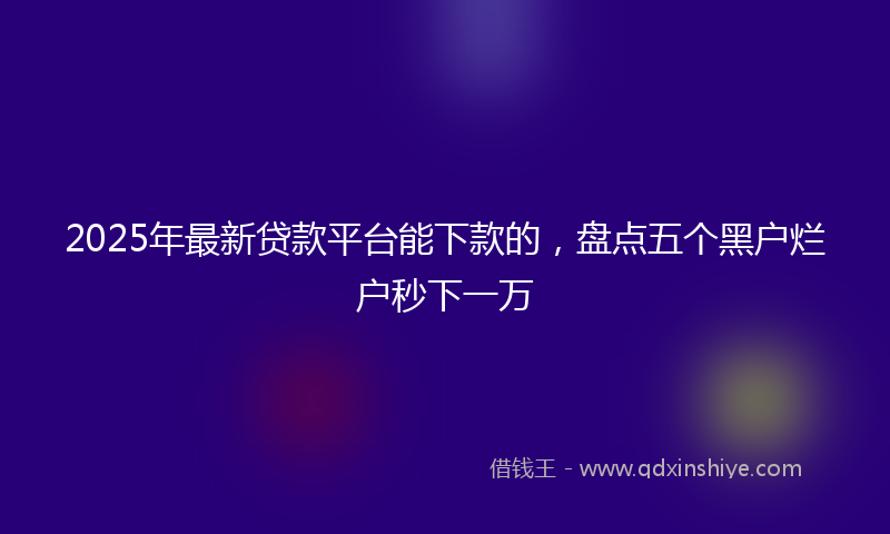2025年最新贷款平台能下款的，盘点五个黑户烂户秒下一万