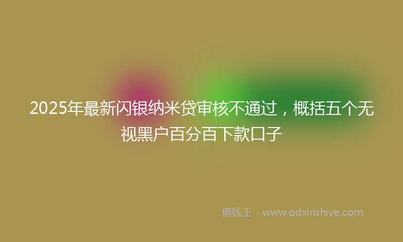 2025年最新闪银纳米贷审核不通过，概括五个无视黑户百分百下款口子