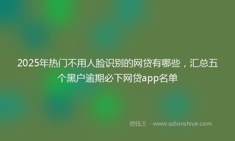 2025年热门不用人脸识别的网贷有哪些，汇总五个黑户逾期必下网贷app名单