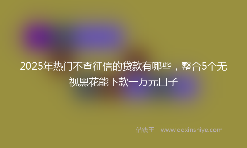 2025年热门不查征信的贷款有哪些，整合5个无视黑花能下款一万元口子
