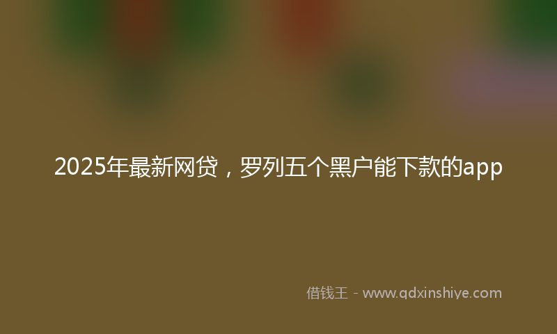 2025年最新网贷，罗列五个黑户能下款的app