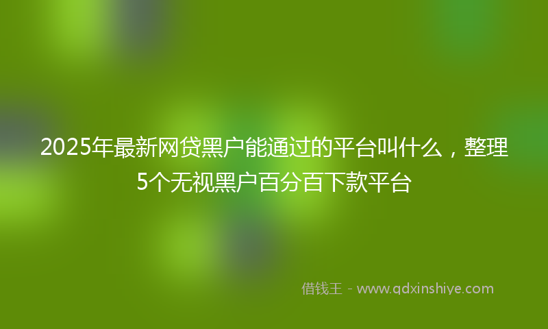 2025年最新网贷黑户能通过的平台叫什么，整理5个无视黑户百分百下款平台