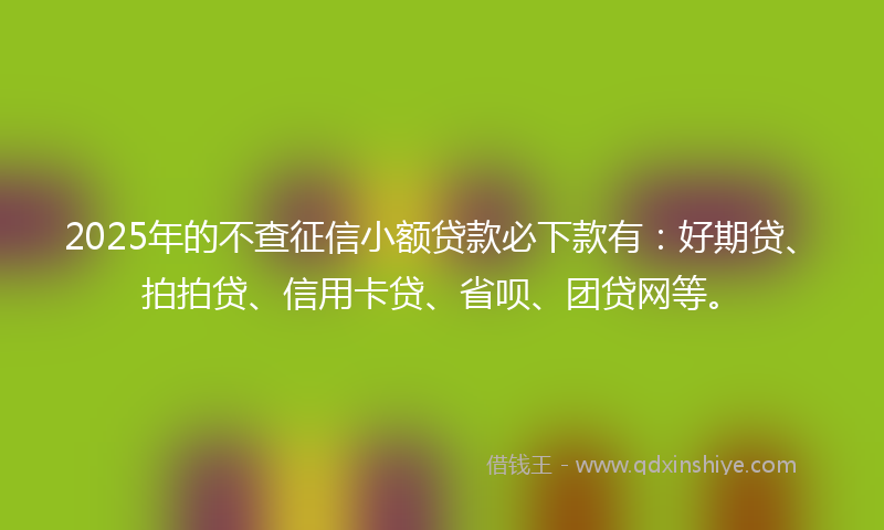 2025年的不查征信小额贷款必下款有：好期贷、拍拍贷、信用卡贷、省呗、团贷网等。