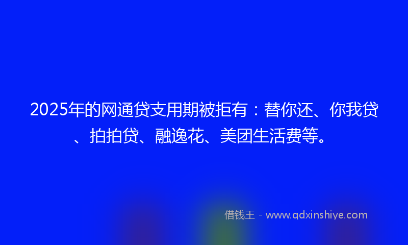 2025年的网通贷支用期被拒有：替你还、你我贷、拍拍贷、融逸花、美团生活费等。
