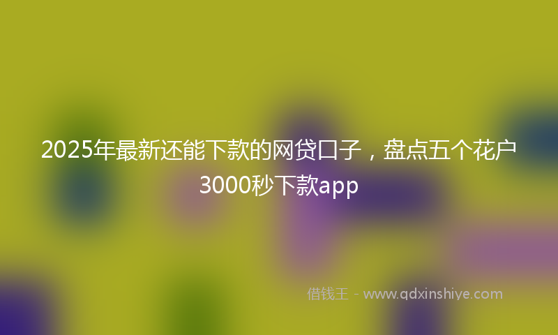 2025年最新还能下款的网贷口子，盘点五个花户3000秒下款app