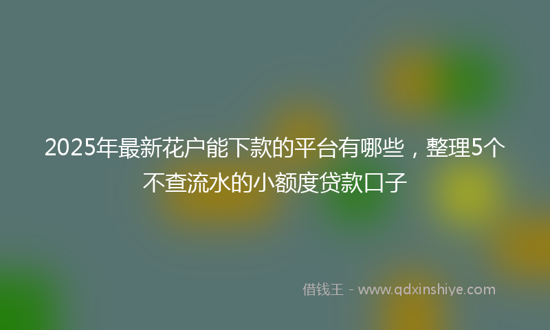2025年最新花户能下款的平台有哪些，整理5个不查流水的小额度贷款口子