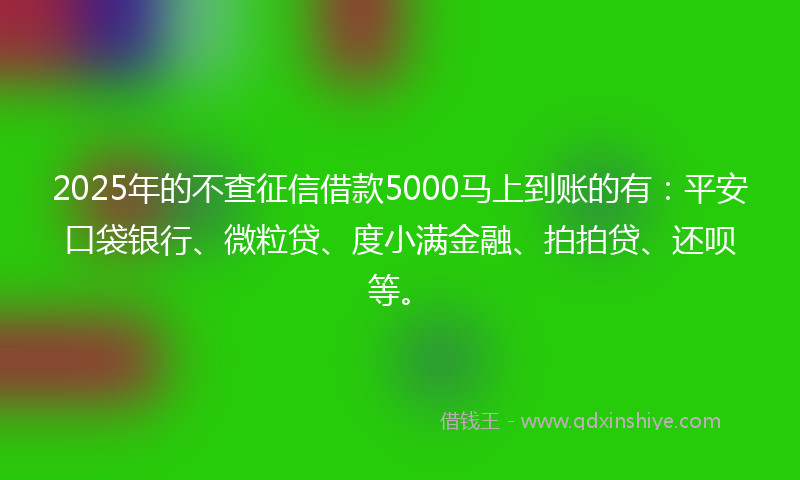 2025年的不查征信借款5000马上到账的有：平安口袋银行、微粒贷、度小满金融、拍拍贷、还呗等。