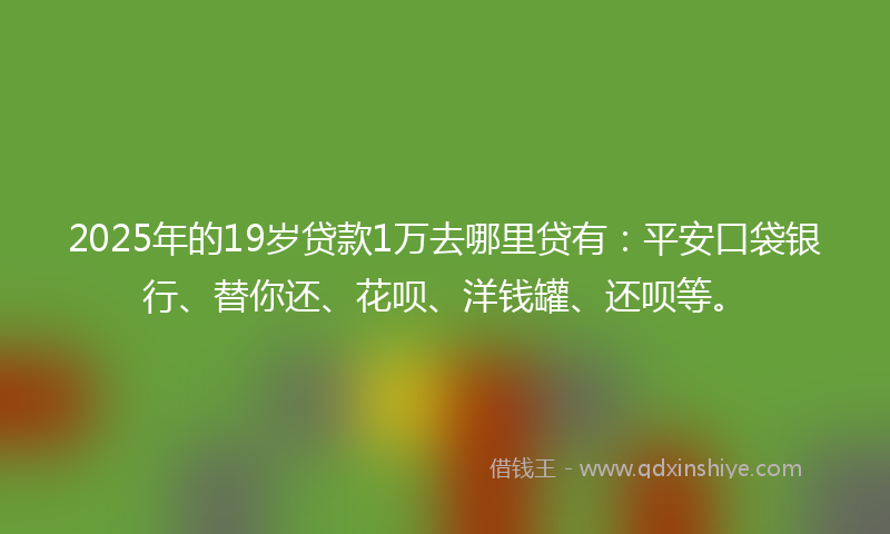 2025年的19岁贷款1万去哪里贷有：平安口袋银行、替你还、花呗、洋钱罐、还呗等。