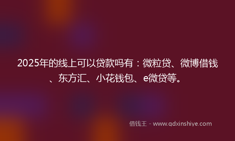 2025年的线上可以贷款吗有：微粒贷、微博借钱、东方汇、小花钱包、e微贷等。