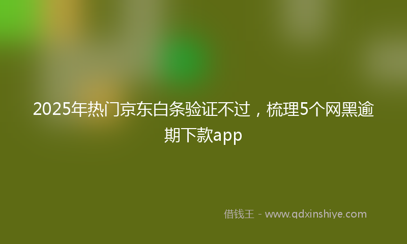 2025年热门京东白条验证不过，梳理5个网黑逾期下款app