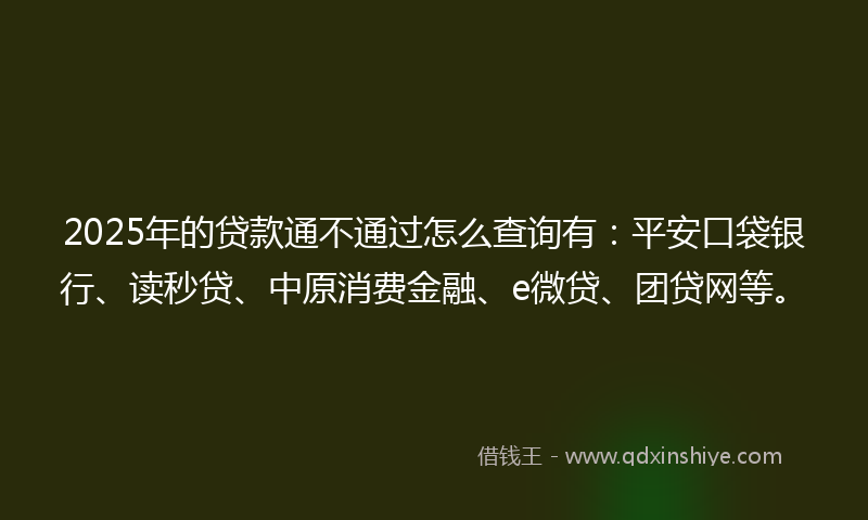 2025年的贷款通不通过怎么查询有：平安口袋银行、读秒贷、中原消费金融、e微贷、团贷网等。