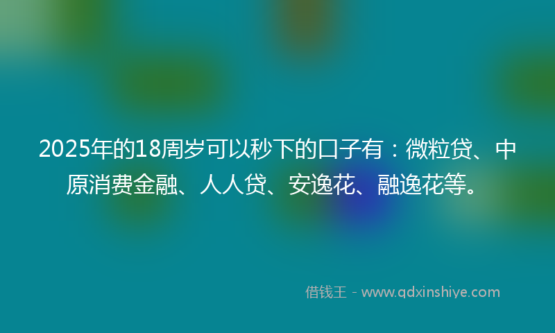 2025年的18周岁可以秒下的口子有：微粒贷、中原消费金融、人人贷、安逸花、融逸花等。